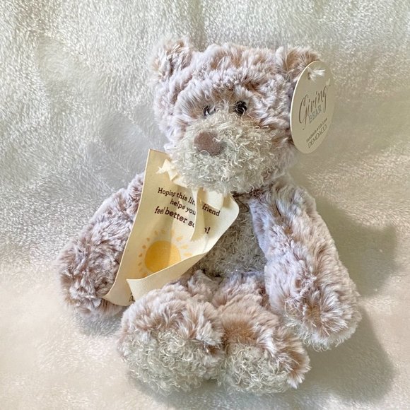 DEMDACO 2020 Giving Bear 9" Children's Plush Stuffed Animal Toy Lovey SOFT! - Picture 6 of 8